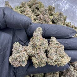 FROSTED FLUFF - Monsieur Cannabisbien shop
