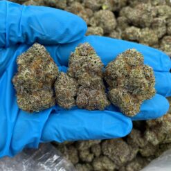 GRAPE LUSH OG - Monsieur Cannabisbien shop