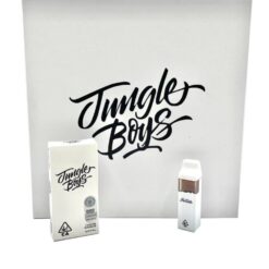 JUNGLE BOYS 2G DISPO Juteux