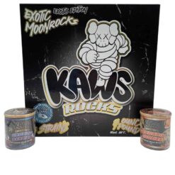 KAWS EXOTIC MOONROCKS ULTIME