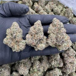 LEMON CREAM LUSH ULTIME