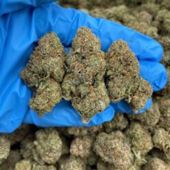 MIDNIGHT SPARK - Monsieur Cannabisbien shop