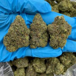 PURPLE CITRUS CRUSH - Monsieur Cannabisbien shop