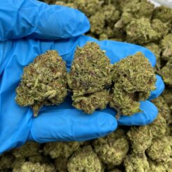 RASPBERRY RIPPLE - Monsieur Cannabisbien shop