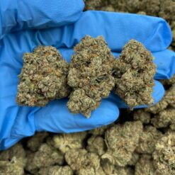 SKYWALKER OG - Monsieur Cannabisbien shop