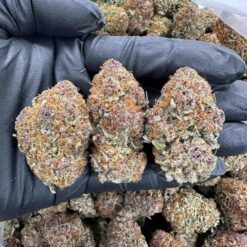 SUPER BOOF CHERRY - Monsieur Cannabisbien shop