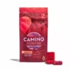 Camino Forest Berry ‘Uplifting’ Fruit Chews (S)